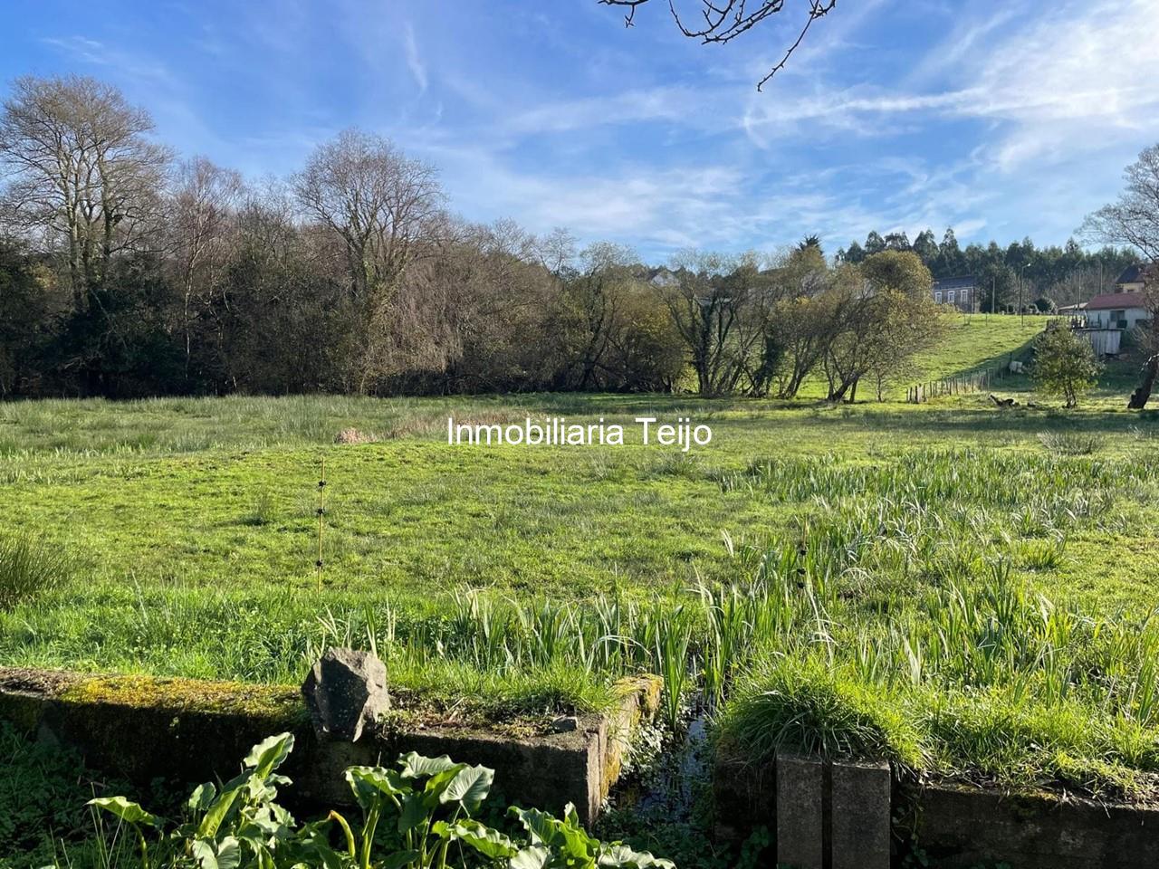 Foto 18 SE VENDE CASA CON FINCA Y BODEGAS EN SAN ROMÁN (CEDEIRA)