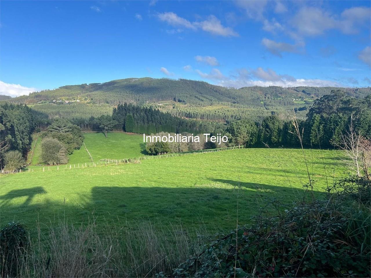 Foto 8 SE VENDE CASA DE PIEDRA PARA RESTAURAR CON FINCA EN SOMOZAS