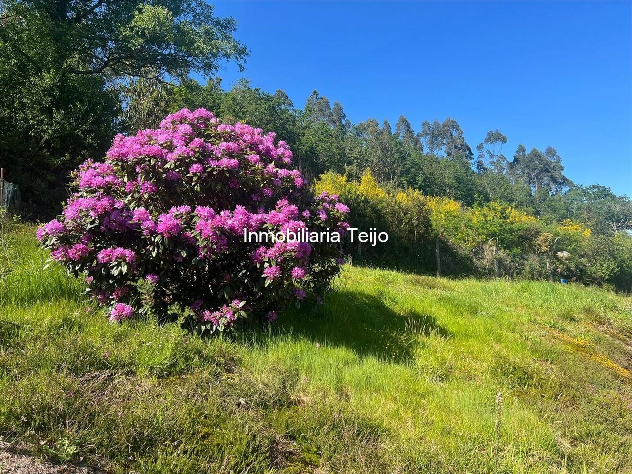 Foto 6 SE VENDE CASA INDEPENDIENTE EN A CAPELA