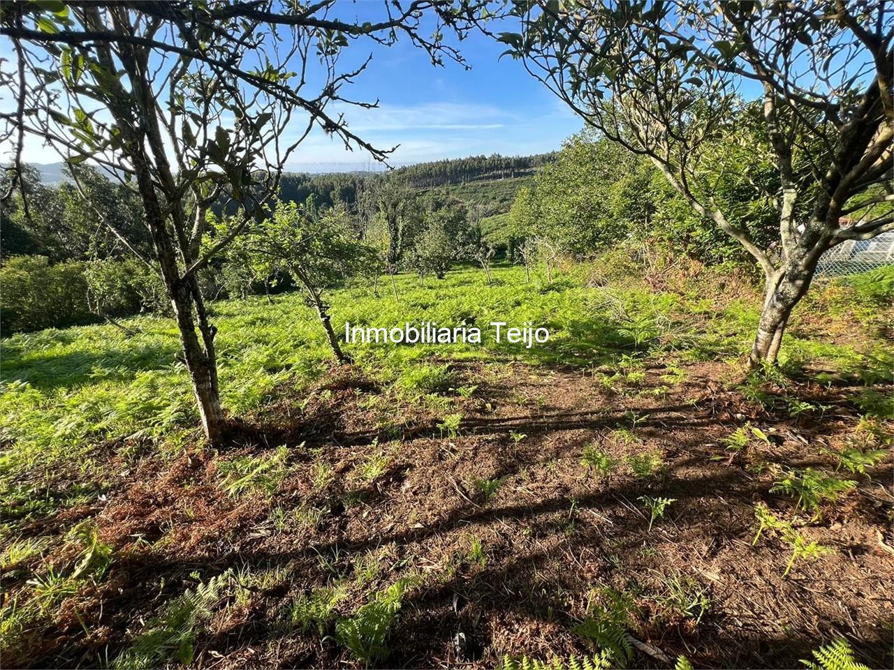 Foto 10 SE VENDE FINCA CON DOS FINES DE SEMANA EN SAN JORGE