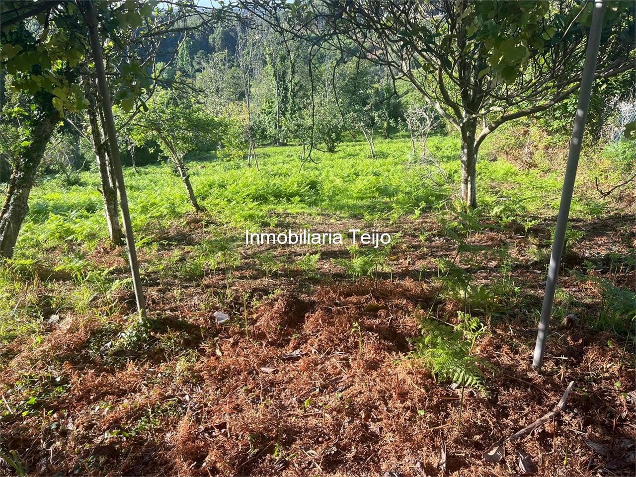 Foto 11 SE VENDE FINCA CON DOS FINES DE SEMANA EN SAN JORGE