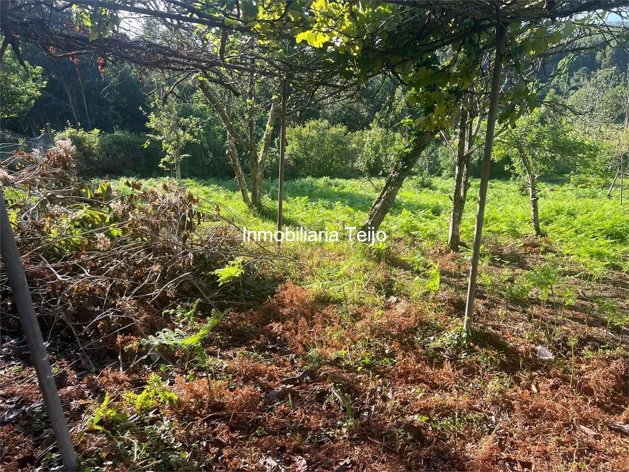 Foto 9 SE VENDE FINCA CON DOS FINES DE SEMANA EN SAN JORGE