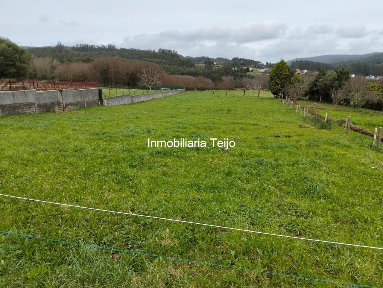 Foto 2 SE VENDE FINCA EDIFICABLE EN CEDEIRA