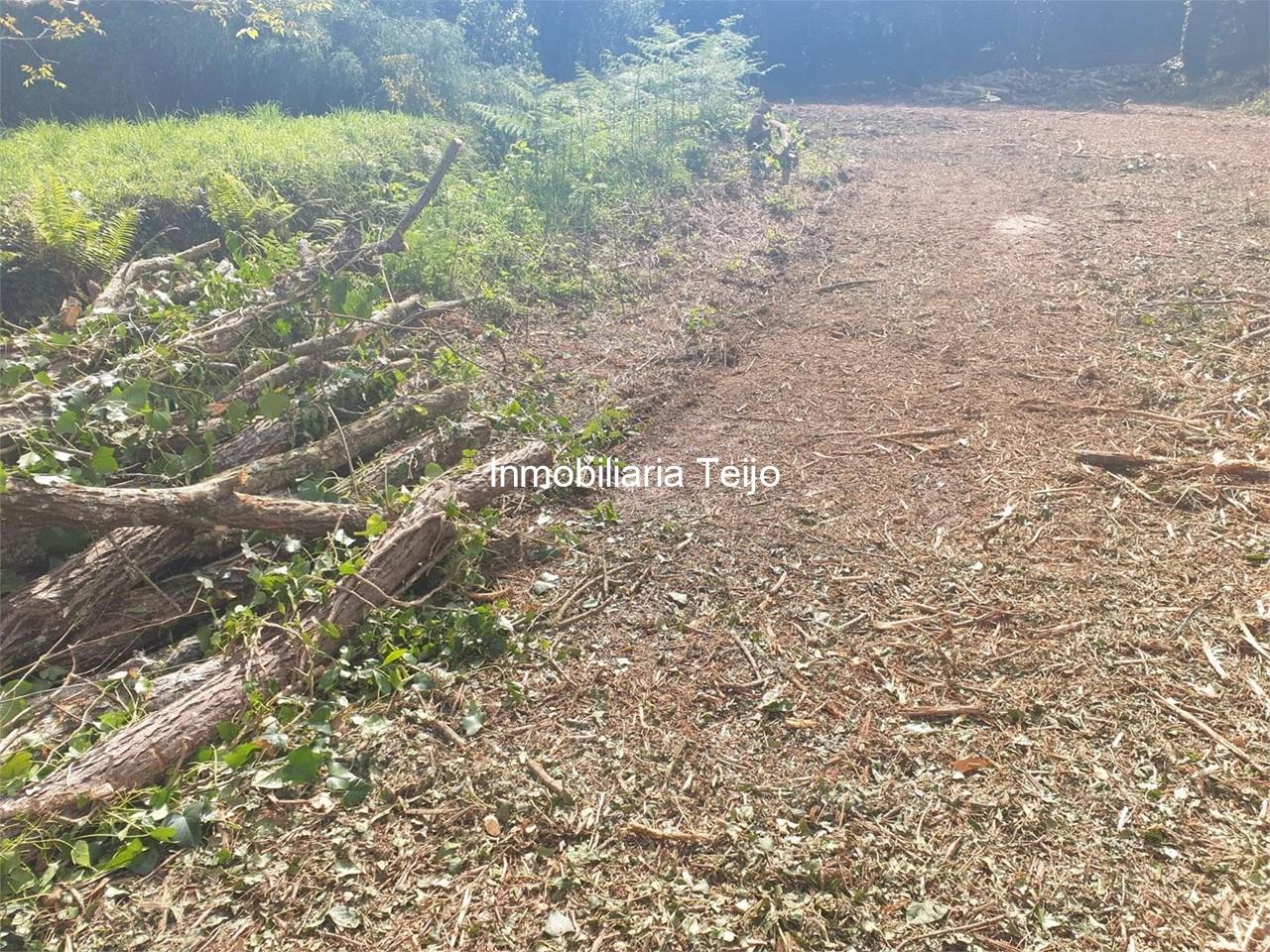 Foto 4 SE VENDEN DOS FINCAS RÚSTICAS EN MUGARDOS